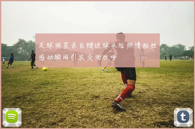 足球明星亲自赠送球衣给热情粉丝感动瞬间引发全场欢呼