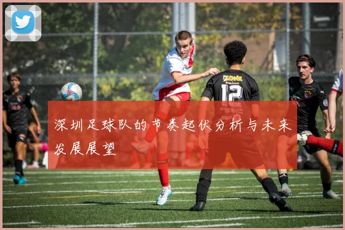 深圳足球队的节奏起伏分析与未来发展展望