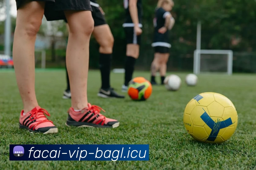 华体会体育APP 封面图